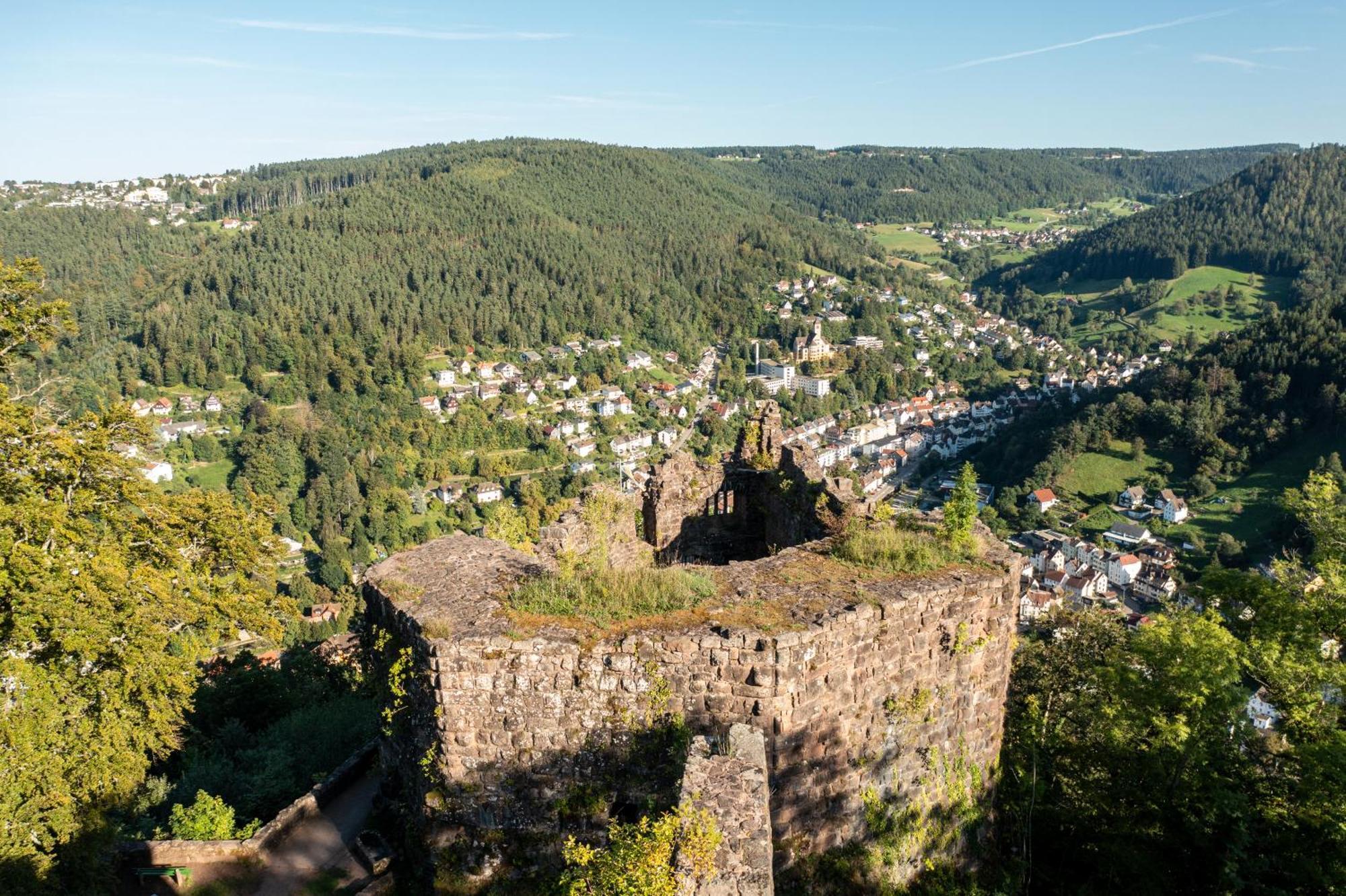 Ferienwohnungen Schwabenhof Schramberg Exterior foto